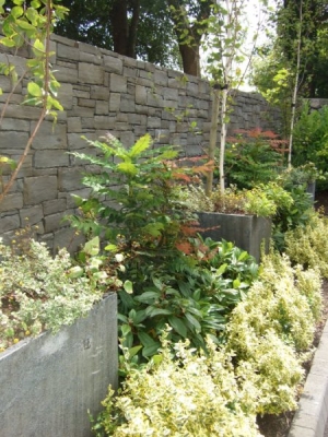 My work